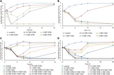 PK-PD integration of enrofloxacin and cefquinome alone and in combination against Klebsiella pneumoniae using an in vitro dynamic model